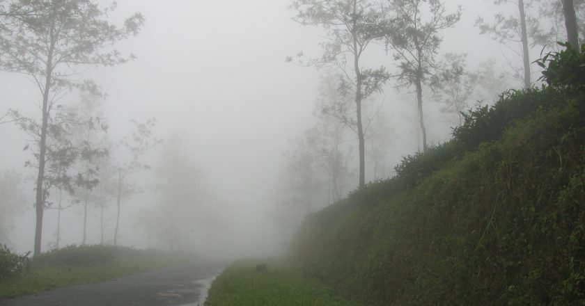 പൊന്മുടി സന്ദർശകർക്കായി തുറന്നു