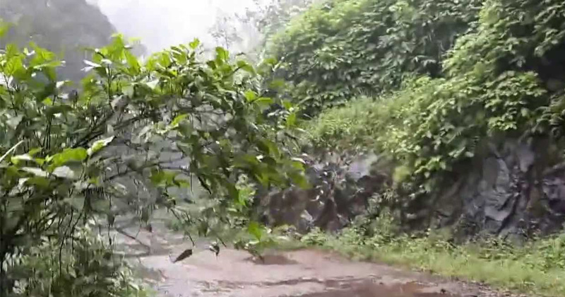 കനത്ത മഴ, ഗവിയിൽ മണ്ണിടിച്ചിൽ; മൂഴിയാർ, മണിയാർ ഡാമുകൾ തുറന്നു; ഉരുൾപൊട്ടിയെന്നും സംശയംപത്തനംതിട്ട ഗവി റൂട്ടിൽ പലയിടത്തും മണ്ണിടിച്ചിലുണ്ടായി. ഗതാഗതം തടസ്സപ്പെട്ടിട്ടുണ്ട് Gavi