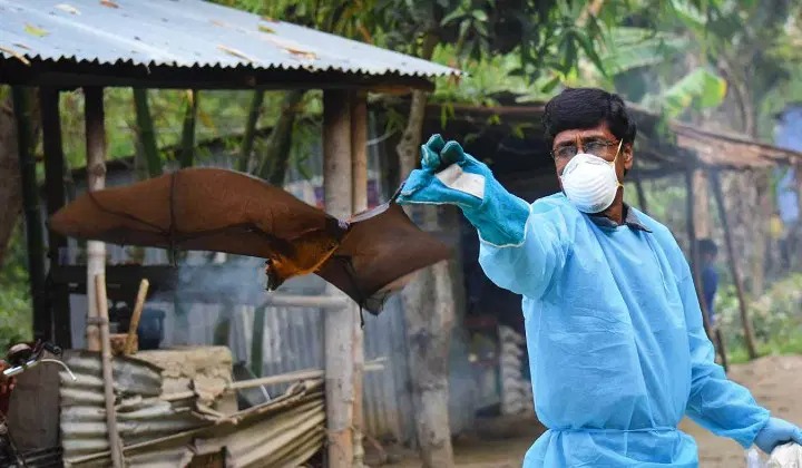 ആശങ്കക്കിടെ ആശ്വാസ വാർത്ത: നിപ ലക്ഷണങ്ങളോടെ ചികിത്സയിലുള്ള മൂന്ന് പേരുടെ ഫലം നെഗറ്റീവ് Nipah symptoms
