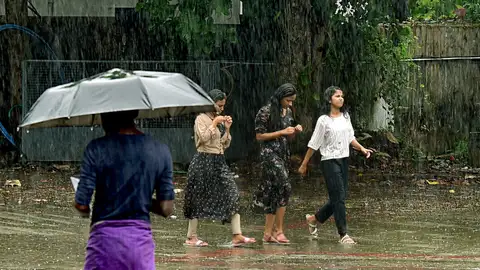 സംസ്ഥാനത്ത് പെരുമഴക്കാലം; ഇന്നും ശക്തമായ മഴയ്ക്ക് സാധ്യത, രണ്ട് ജില്ലകളില്‍ യെല്ലോ അലേര്‍ട്ട് Rain