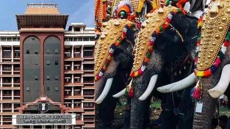 High Court കേരള ഹൈക്കോടതി ആന എഴുന്നള്ളിപ്പിനായി പുതുക്കിയ മാർഗനിർദേശങ്ങൾ പുറപ്പെടുവിച്ചു. ഹൈക്കോടതി പുറത്തിറക്കിയ മാർഗനിർദേശങ്ങൾ പ്രകാരം: