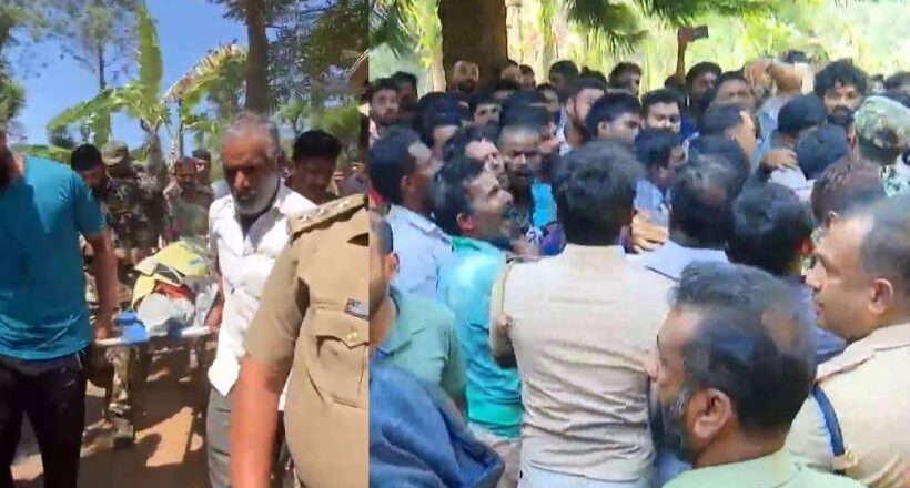 Tiger Wayanad നരഭോജി കടുവയെ വെടിവെച്ച്‌ കൊല്ലാൻ ഉത്തരവ്